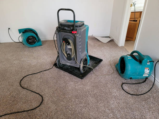 Best Emergency water damage restoration  in Plains, MT