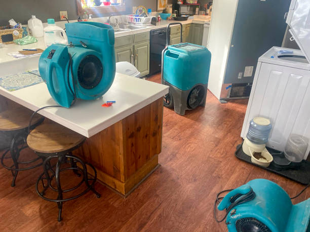  Plains, MT Water damage restoration Pros