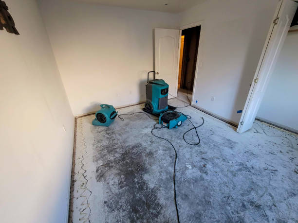 Water damage restoration mold remediation in Plains, MT
