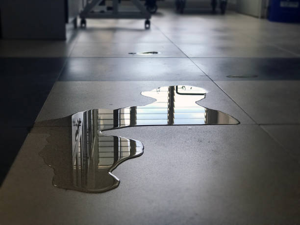 Best Water damage restoration experts  in Plains, MT