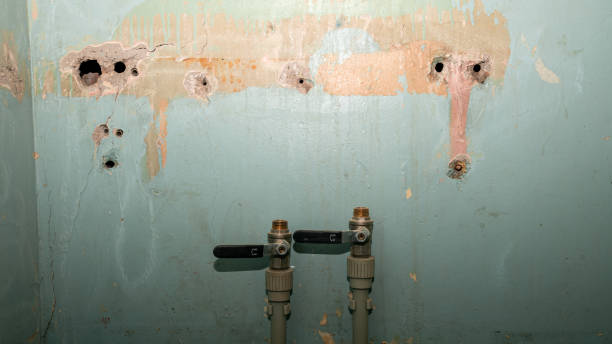 Best Mold removal after water damage  in Plains, MT