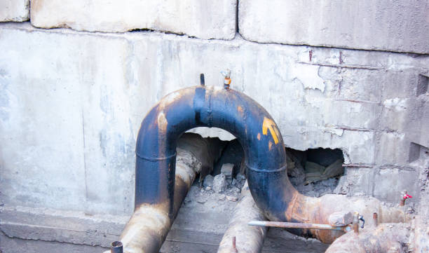 Best Water damage restoration near me  in Plains, MT