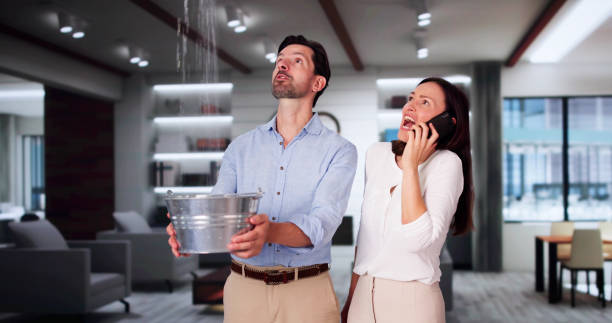  Plains, MT Water damage restoration Pros