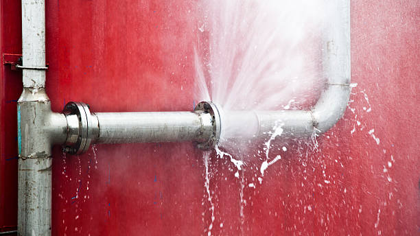 Best Sewage cleanup and water damage restoration  in Plains, MT